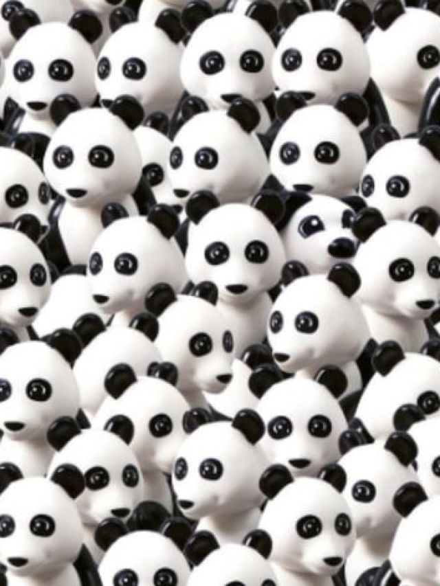 Panda के झुंड के बीच छिपा है कुत्ता, क्या आपको आ रहा नजर? 5 सेकंड में ढूंढने का चैलेंज