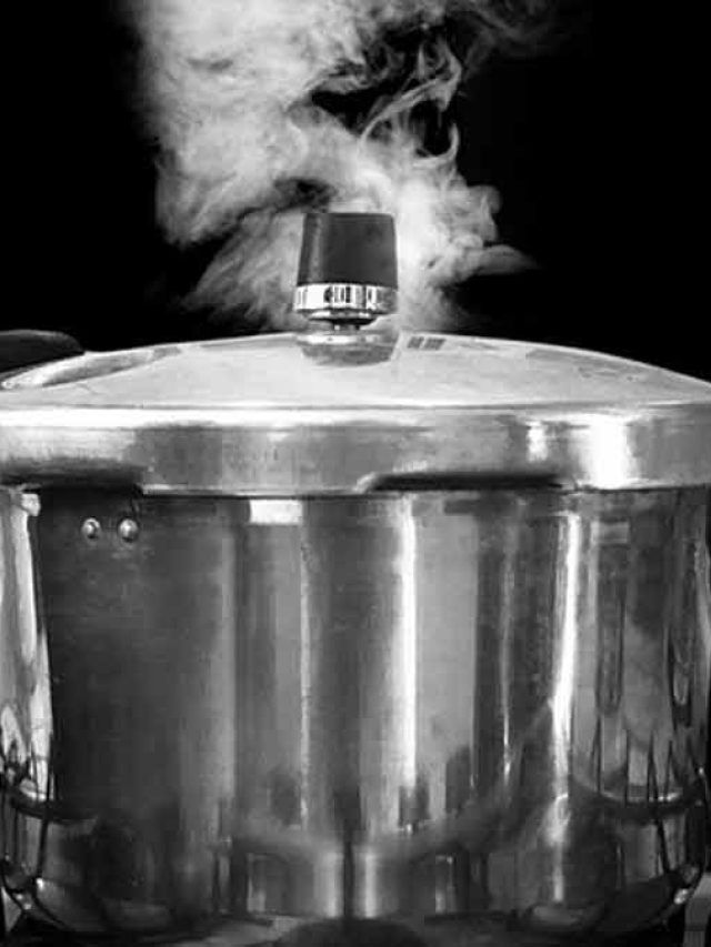 সময় বাঁচাতে স্বাস্থ্যহানি নয়, প্রেশার কুকারে ভুলেও সেদ্ধ করবেন না এই ৪ খাবার