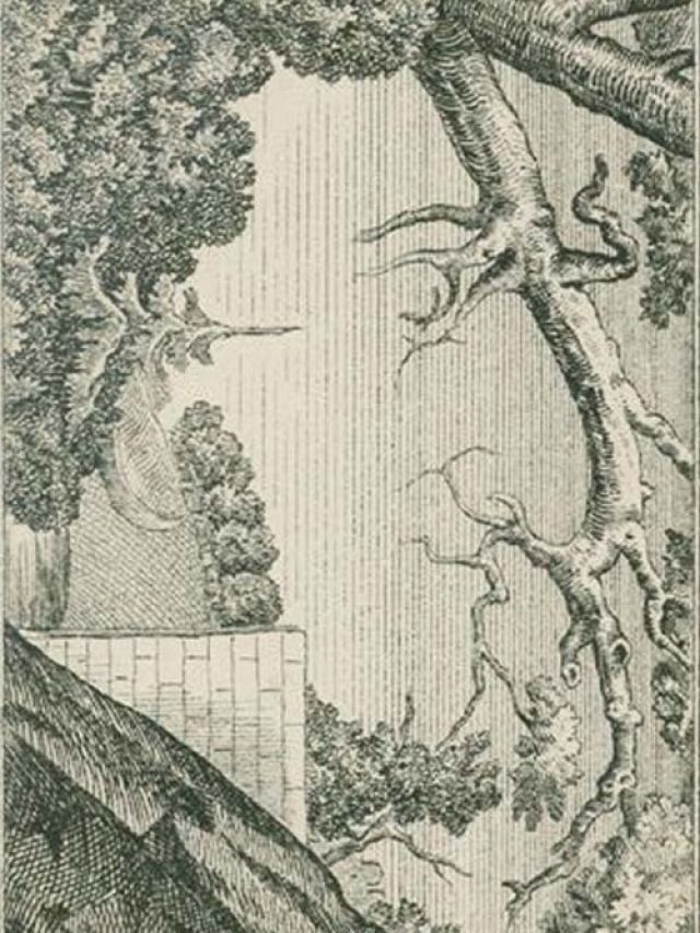 Brain Teaser Puzzle: पेड़ों के बीच में छिपा है किसान, 6 सेकंड में ढूंढने का चैलेंज करें ट्राई