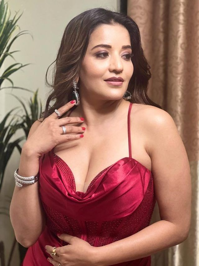 লাল গাউনে উষ্ণতা ছড়াচ্ছেন মোনালিসা , ঝুমা বৌদির নেশায় বুঁদ নেটপাড়া