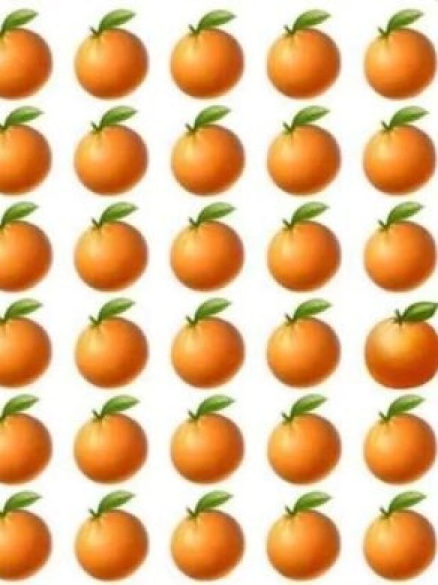 Optical Illusion Quiz: तस्वीर में छुपा है अलग आकार का ऑरेंज, 4 सेकंड में ढूंढ सकते हैं आप?