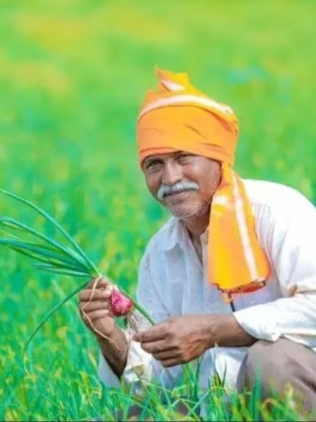 ऑर्गेनिक फार्मिंग से किसानों को होगा मुनाफा, अपनाएं ये कृषि टिप्स