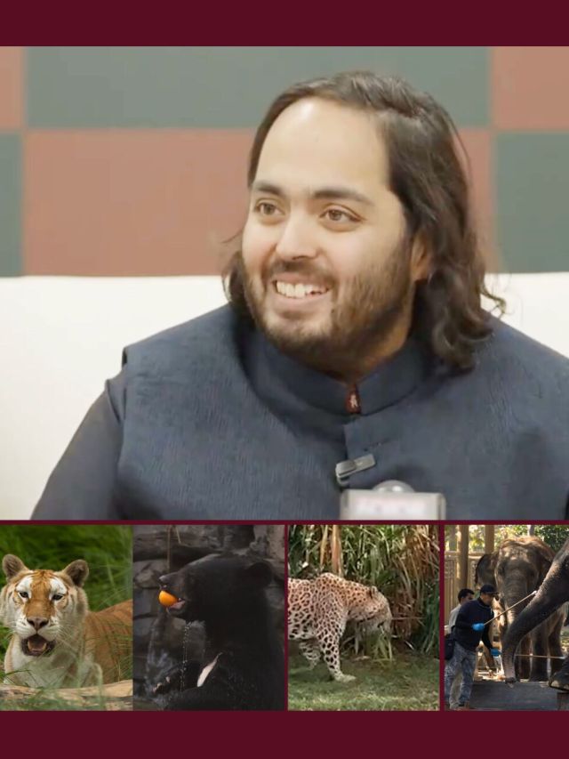 Anant Ambani's Vantara: All about the 3000-acre animal shelter in Gujarat by Reliance Foundation