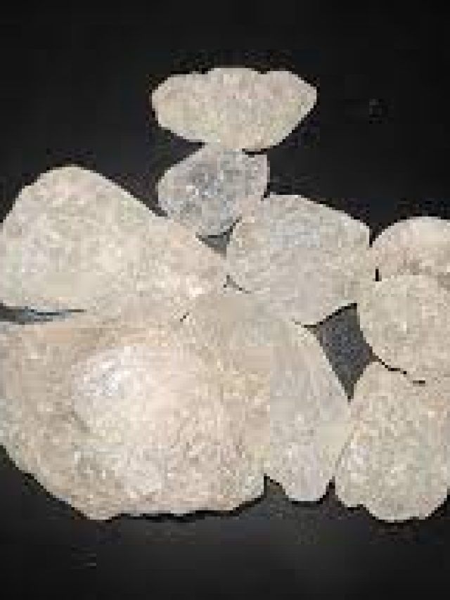 ধনী হতে চান? এক টুকরো ফটকিরিতেই 'খেলা হবে'