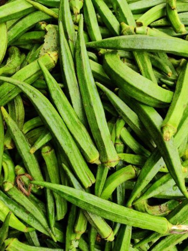 ওষুধ খেতে হবে না, সুগার কমাবে সস্তার ঢেঁড়শ, কীভাবে খাবেন?