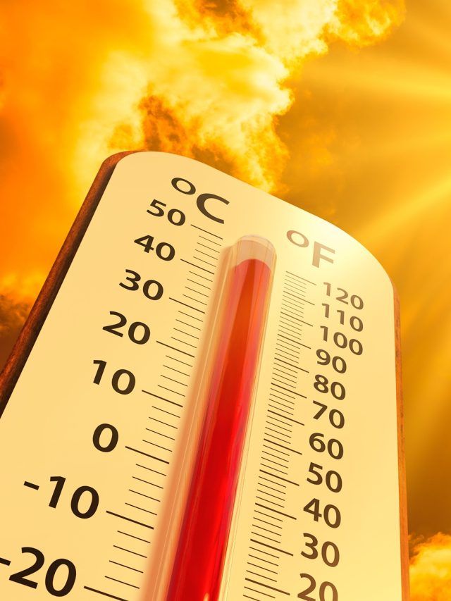 'Beat the Heat': Discover Delhi's top 6 hangout spots to enjoy without climate concerns