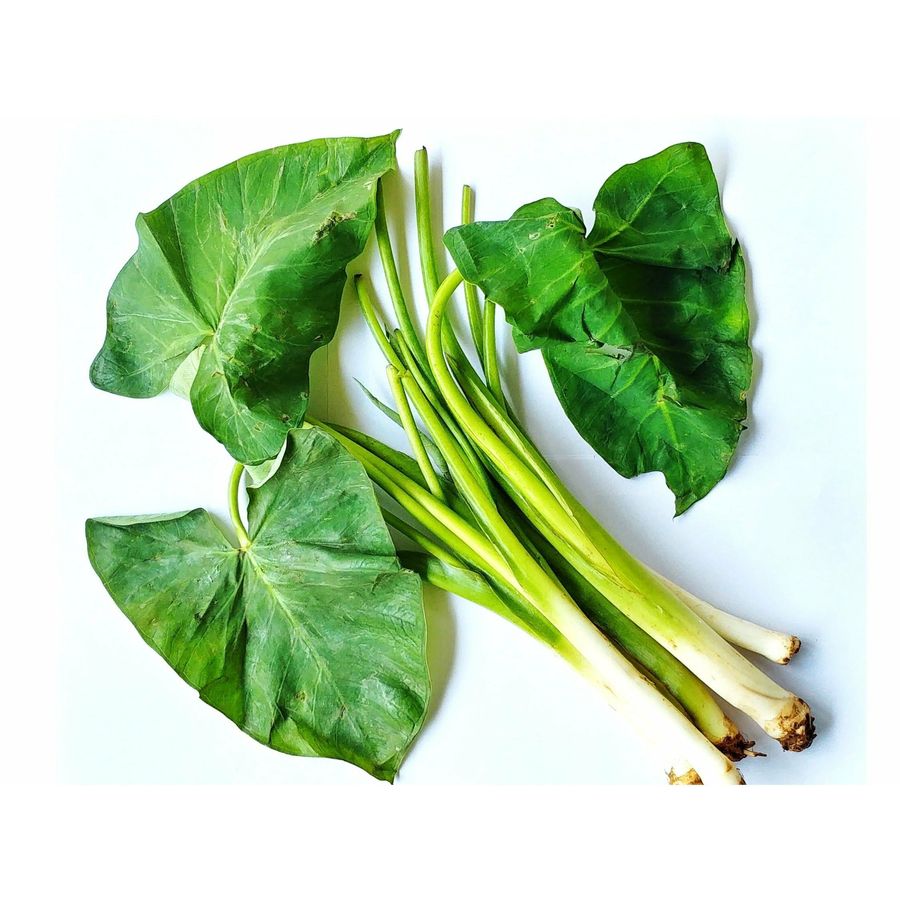 Ukraina ayollar jinsiy aloqada yashirin video Jinsiy aloqa haqida qisqa multfilmlar