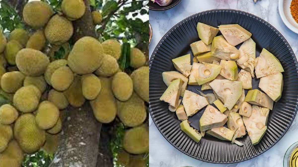 Anna Nikol Smit porno Katya Klimova filmlaridan erotik kadrlarni tomosha qiling