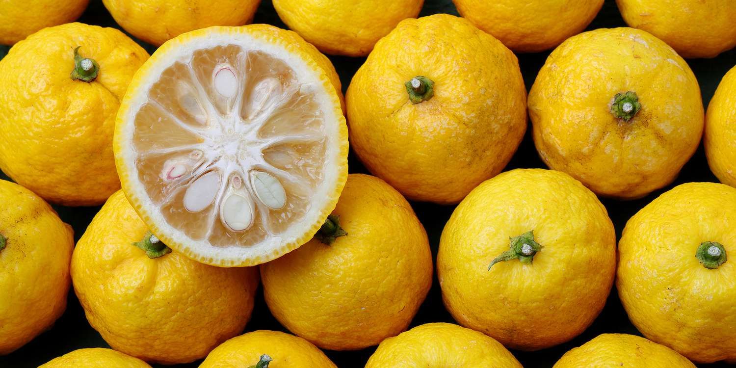 Yuzu: Japan's Fragrant Citrus Wonder