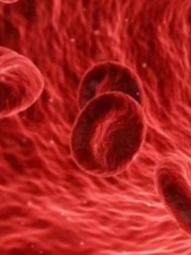 পুরুষদের রক্তের তেজ বাড়বে, রোজ সকালে এটি খেলে হু হু করে বাড়বে হিমোগ্লোবিন