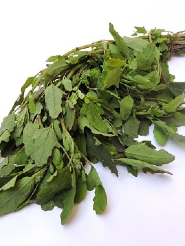 প্রাণ কাড়তে পারে এই শাক, কারা ভুলেও খাবেন না?