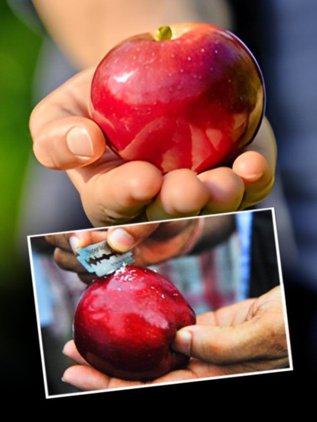 सेब पर चढ़ी होती है मोम की परत...चमकदार फल हो सकता है खतरनाक! डॉक्टर ने गिनाए नुकसान