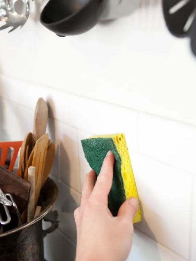 রান্নাঘরের দেওয়ালের তেলচিটে দাগ কীভাবে তুলবেন?