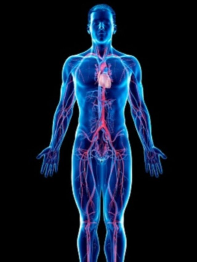 अंग-अंग में ताकत भर देता है अश्वगंधा, रोज खाने से मिलते हैं इतने फायदे