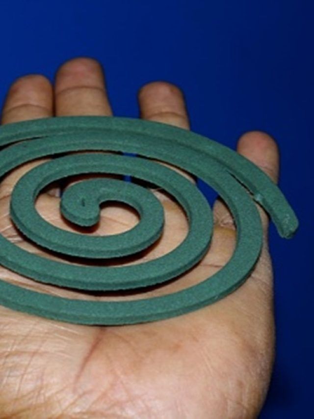 মশা তাড়াতে গিয়ে নিজেকে মৃত্যুর মুখে ঠেলে দিচ্ছেন না তো? কয়েলেই রয়েছে মারণ- ফাঁদ