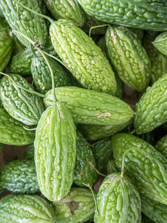 সুগার বাপ বাপ বলে কমবে, শুধু রোজ সকালে এভাবে খান করলা