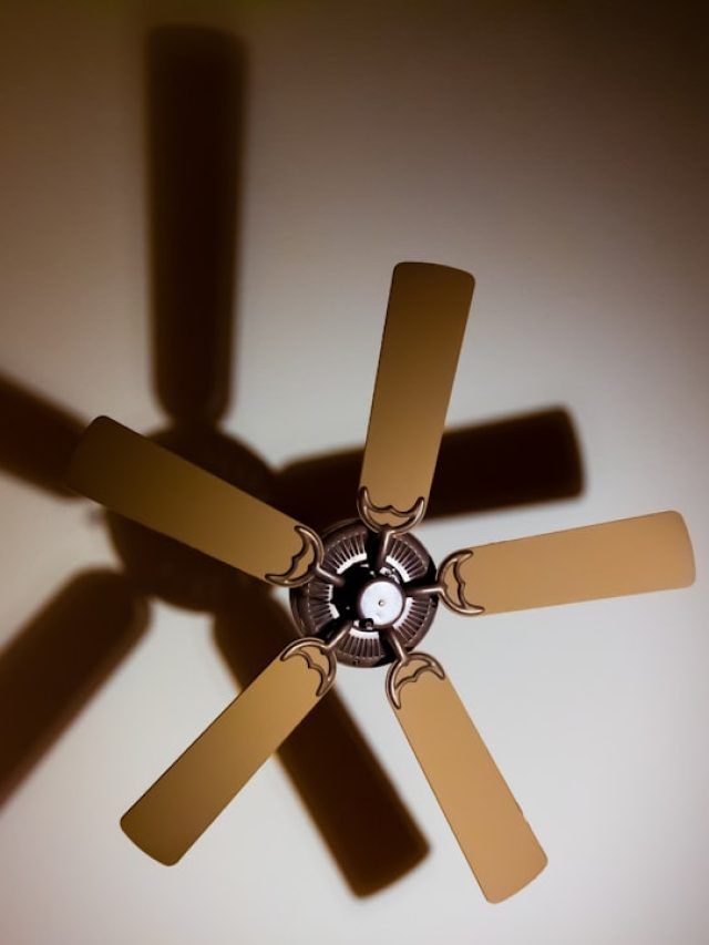 এই মরশুমে ফ্যান চালিয়ে ঘুমোচ্ছেন রোজ? এই ৫ জিনিস জেনে রাখুন