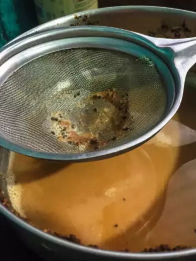 নোংরা চায়ের ছাঁকনি নিমেষে ঝকঝকে, গরম জলে দিন এই জিনিস