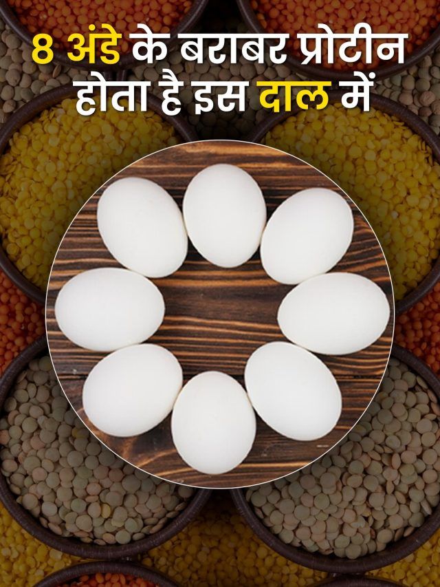8 अंडे के बराबर प्रोटीन होता है इस दाल में...वेट लॉस के साथ बनेंगे मसल्स, जानें फायदे