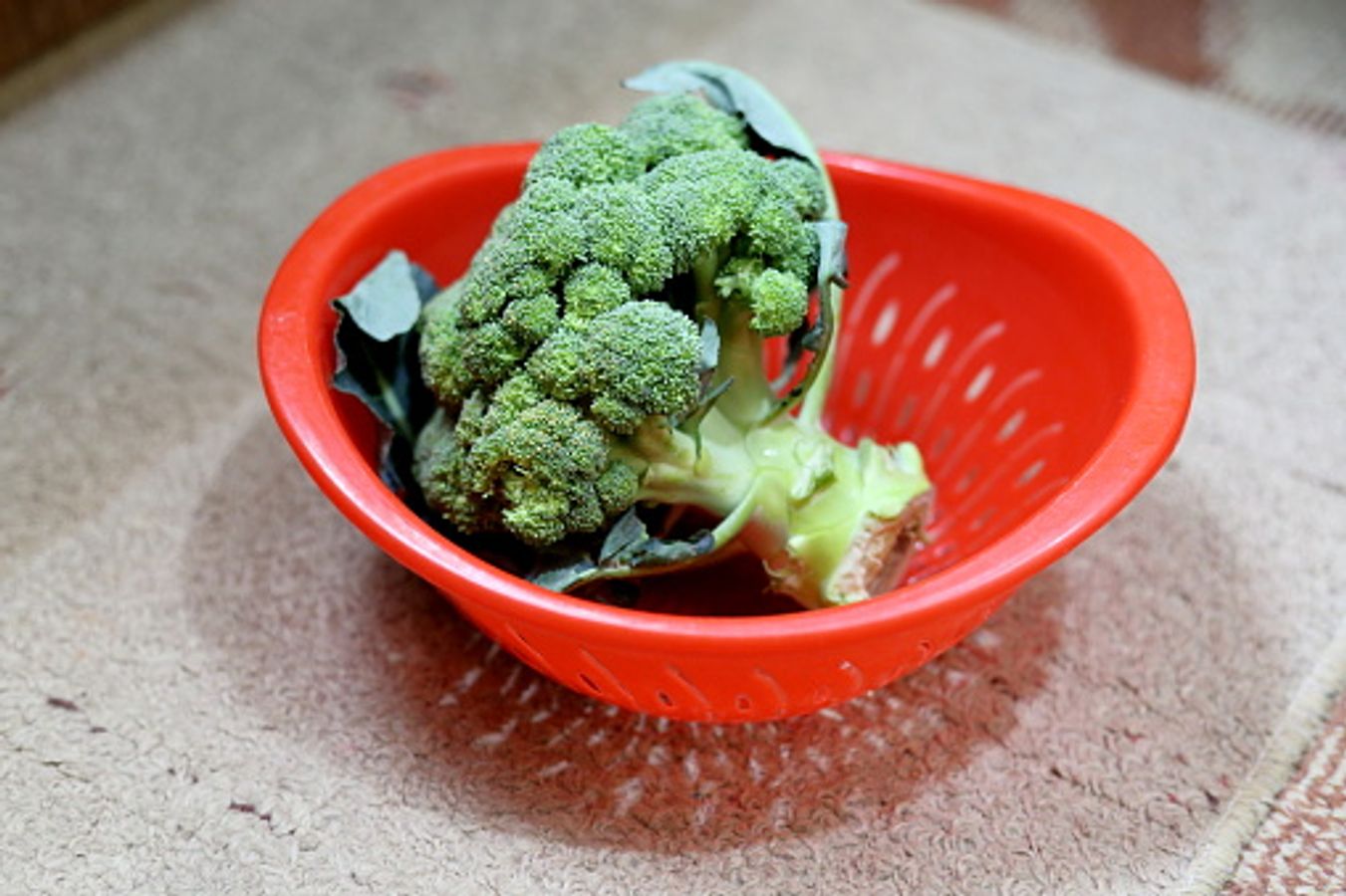 Er birovning spermasini tozalab xotinining trusigini yalab qoydi. Porno cuckold xotini qul