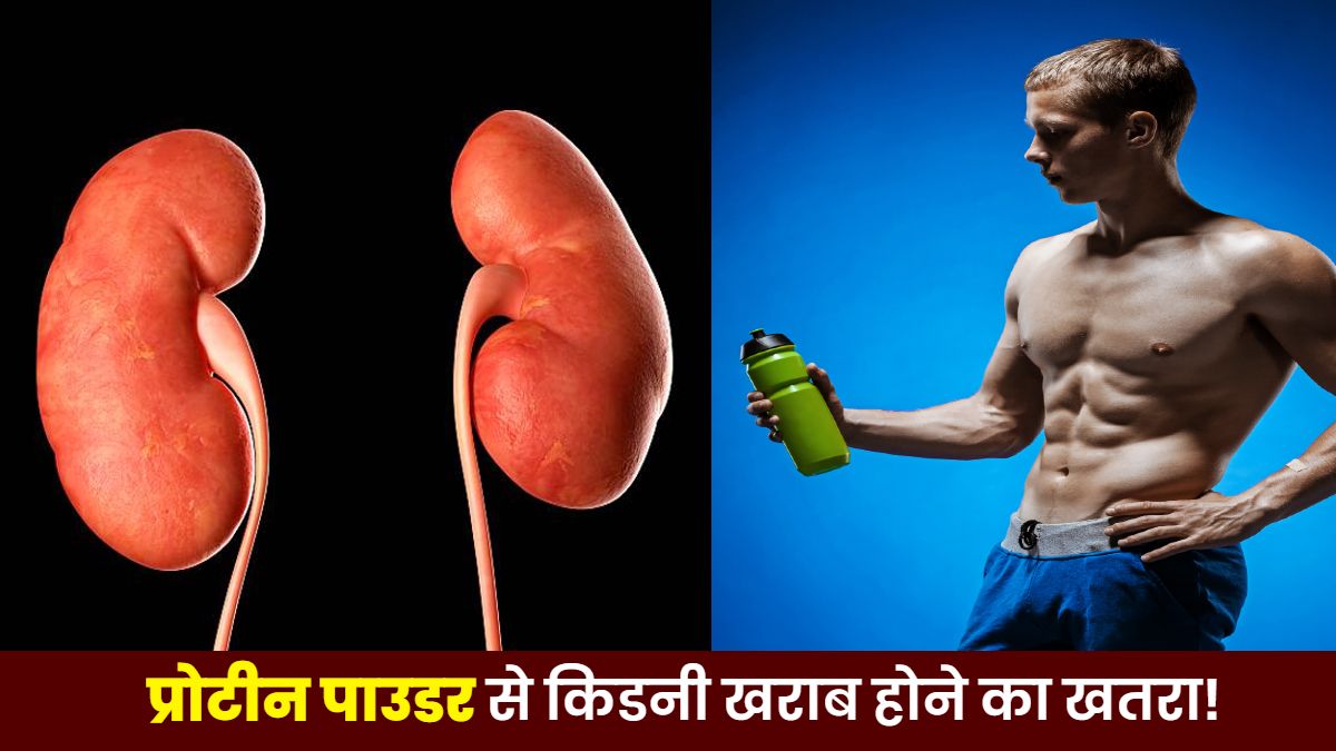 प्रोटीन पाउडर कर सकते हैं किडनी खराब! ICMR ने दी चेतावनी, बताया Protein