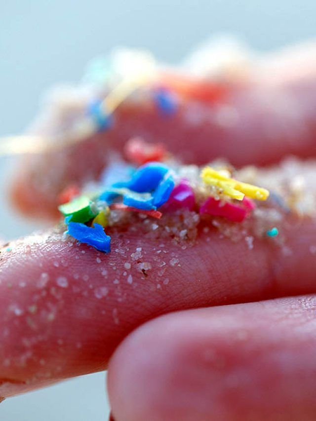 न ये खत्म होता है, न सड़ता है! पुरुषों के Testicles में पहुंचा दुनिया का सबसे खतरनाक पदार्थ