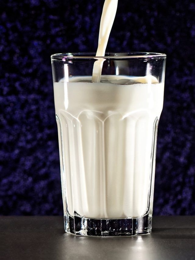 5 हजार रुपये लीटर बिकता है इस जानवर का दूध, जानें पीना फायदेमंद या नहीं