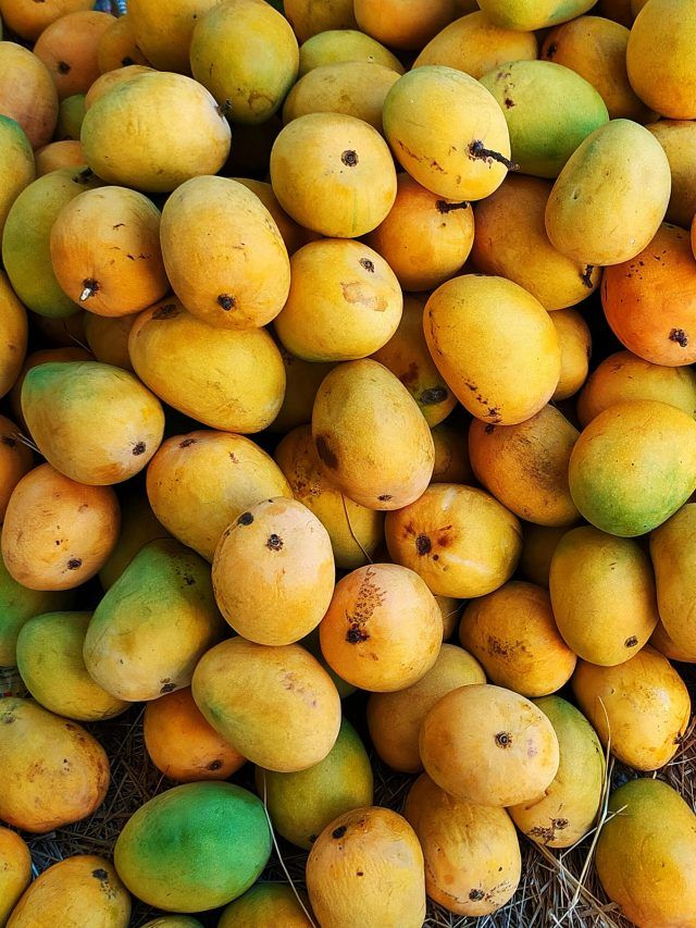 आम खाने से बढ़ जाता है वजन? जानें डायबिटीज मरीजों के लिए कितनी मात्रा है सही