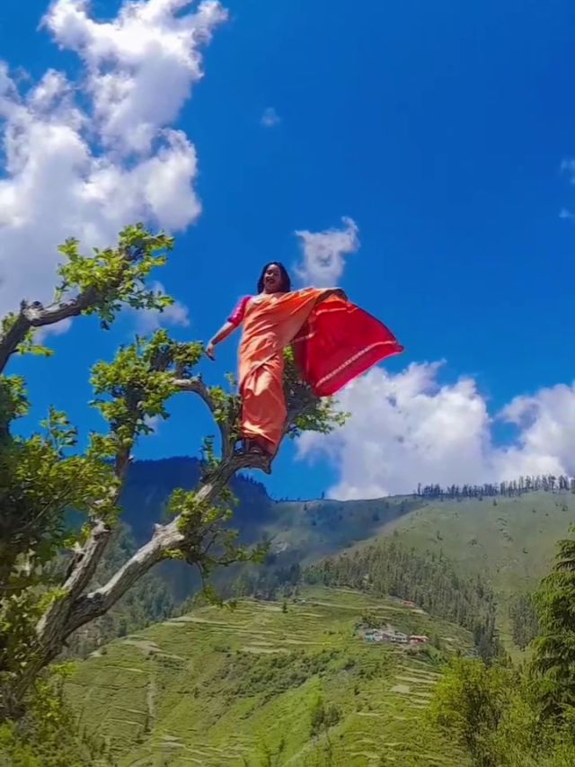 'तुझको ही दूल्हा बनाऊंगी', साड़ी पहनकर पेड़ की डाल पर खूब नाची लड़की- VIDEO