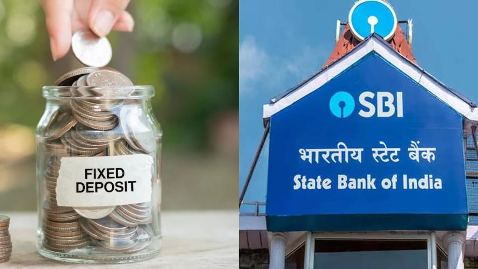 SBI FD Interest Rates: एसबीआई ने घटाईं एफडी पर ब्याज दरें, आम जनता और सीनियर सिटीजंस दोनों को झटका, 16 मई से लागू होंगी नई दरें 2 image 1871
