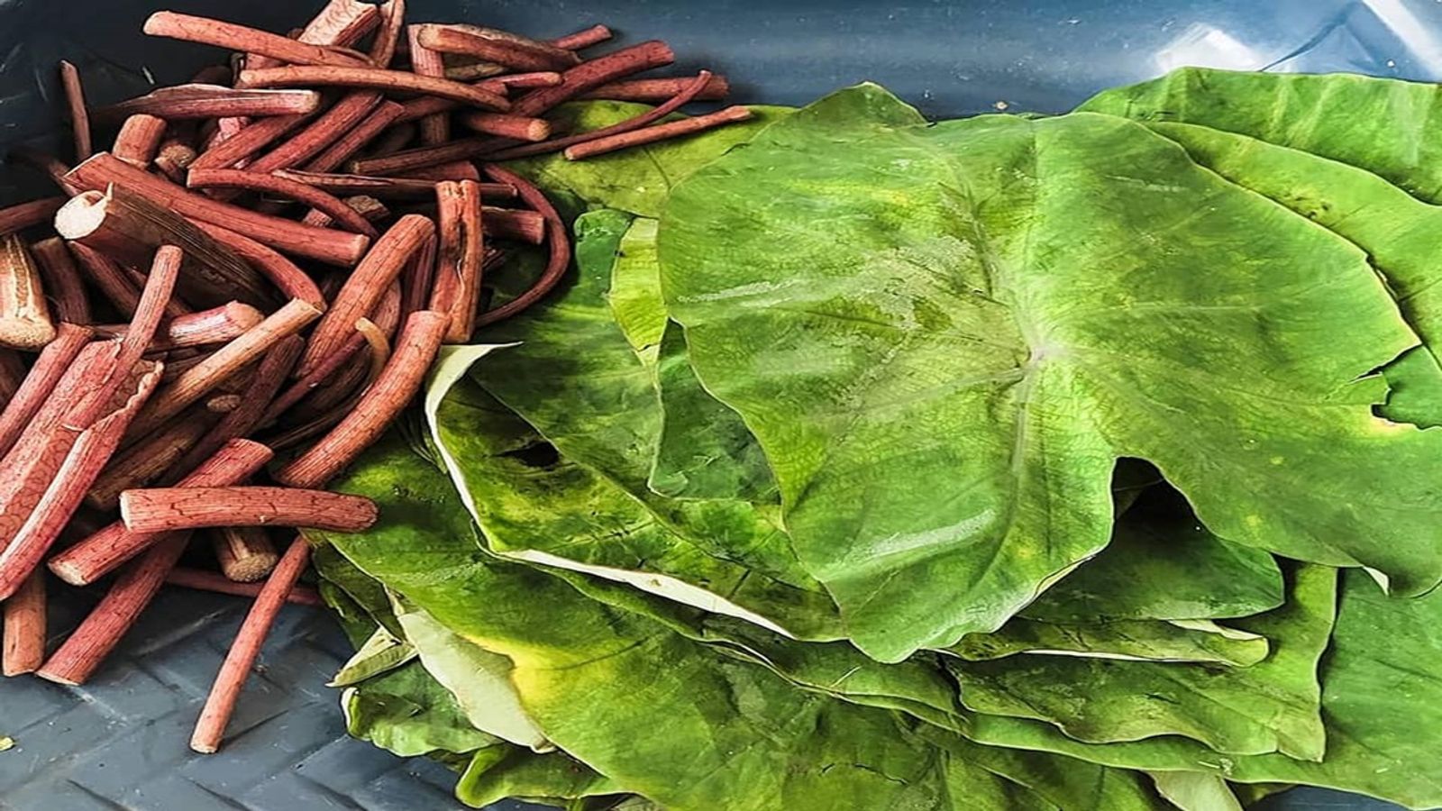 Lela Star bilan porno tomosha qiling Alina Rai Onlyfans video