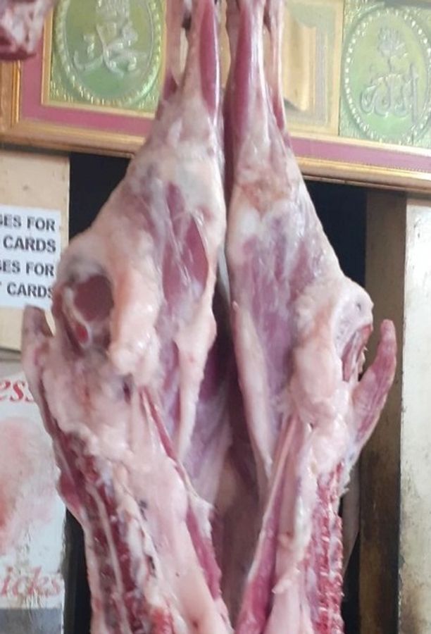 Etek ostidagi yoz Mushukdagi qizni sikish, qattiq sikish surati