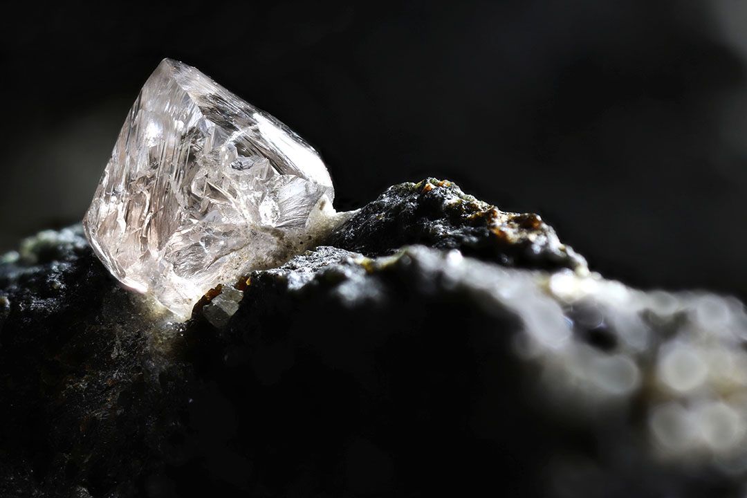 AdobeStock_313933855