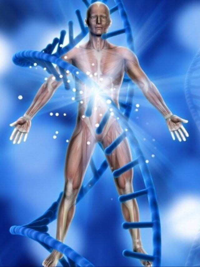 5 टिप्स हड्डियों में भर देंगे लोहे सी मजबूती, बुढ़ापे में भी रहेगी दौड़ने की ताकत