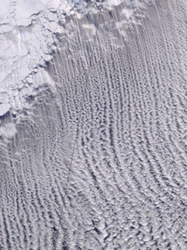 Heatwave or peculiar clouds? Arctic is warming 4 times faster than the global average due to this reason