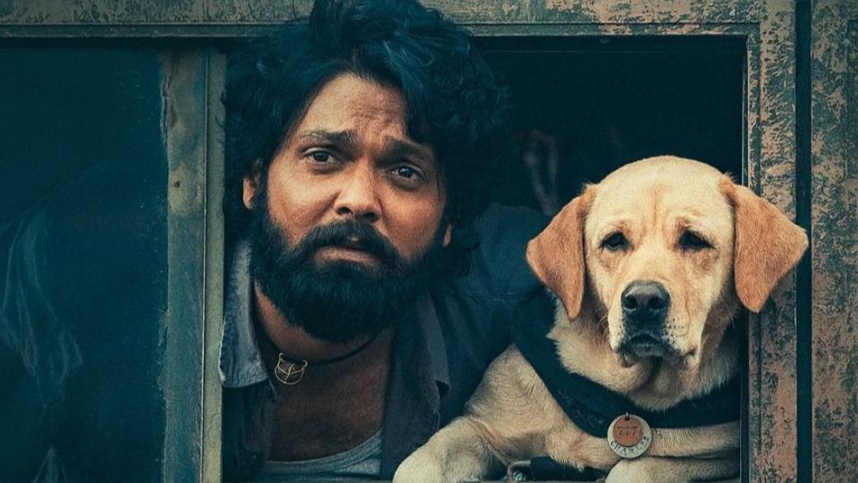 8 must-watch Kannada films