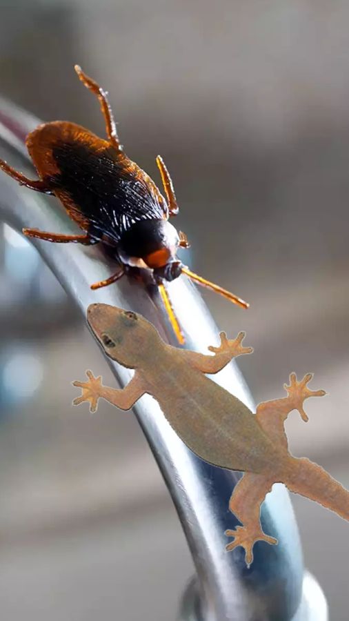 Mening oyoqlarim bukilgan va men kelgan joyda porno onlayn tomosha qiling. Oilaviy dam olish uchun yangi porno komikslar