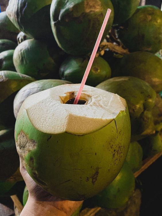 Benefits of coconut water for gastric health