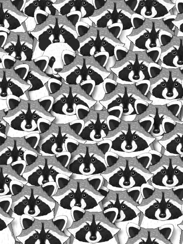 Quiz: तस्वीर में छिपा है एक पांडा, क्या 5 सेकंड में ढूंढ पाएंगे आप?