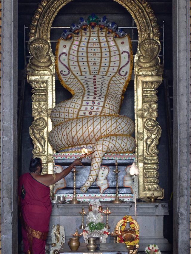 6 साल बाद नाग पंचमी पर बनने जा रहे हैं ये शुभ योग, इन राशियों को मिलेगी तरक्की