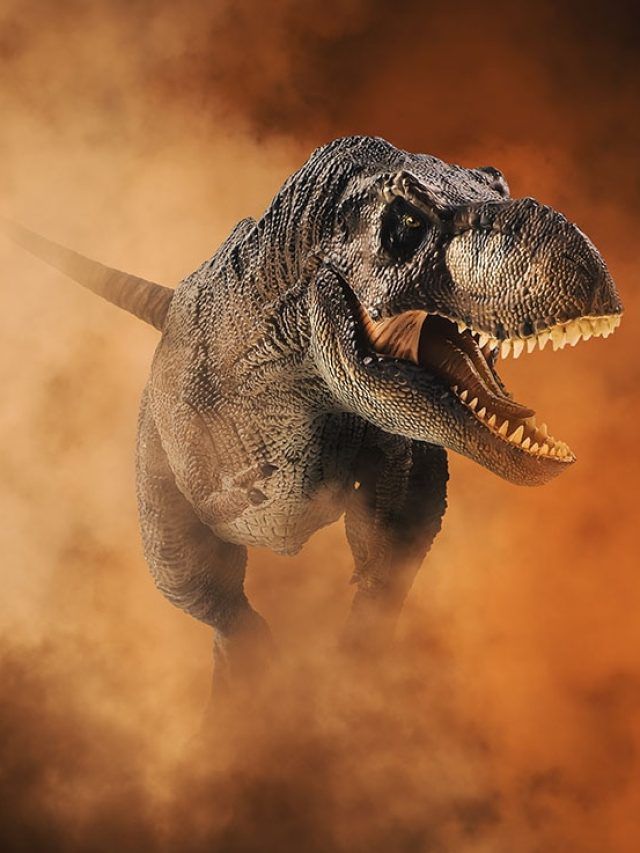 10 Birds That Prove Evolution Never Really Killed the Dinosaurs