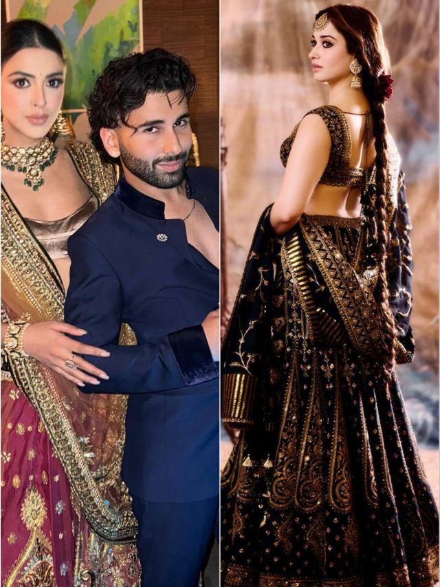 इतने लाख के लहंगे में अनंत-राधिका वेडिंग में छाईं तमन्ना, ओरी ने Video में दिखाए 40 सेलेब्स के लुक