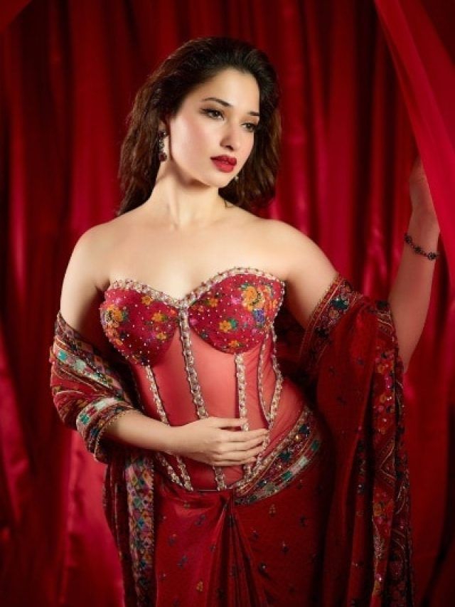 लाल कॉर्सेट साड़ी में मनमोहक 'स्त्री' लगीं तमन्ना भाटिया, इतनी है कीमत, PHOTOS