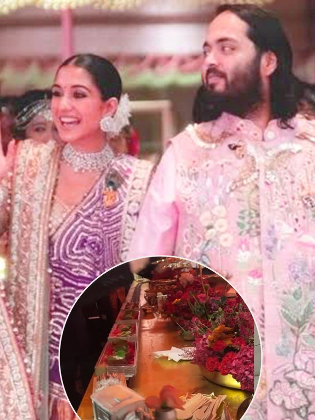 मिनी ट्रेन से खाना, सेलेब्स दिखे लाइन में..., यूट्यूबर ने दिखाई अनंत-राधिका की भव्य शादी