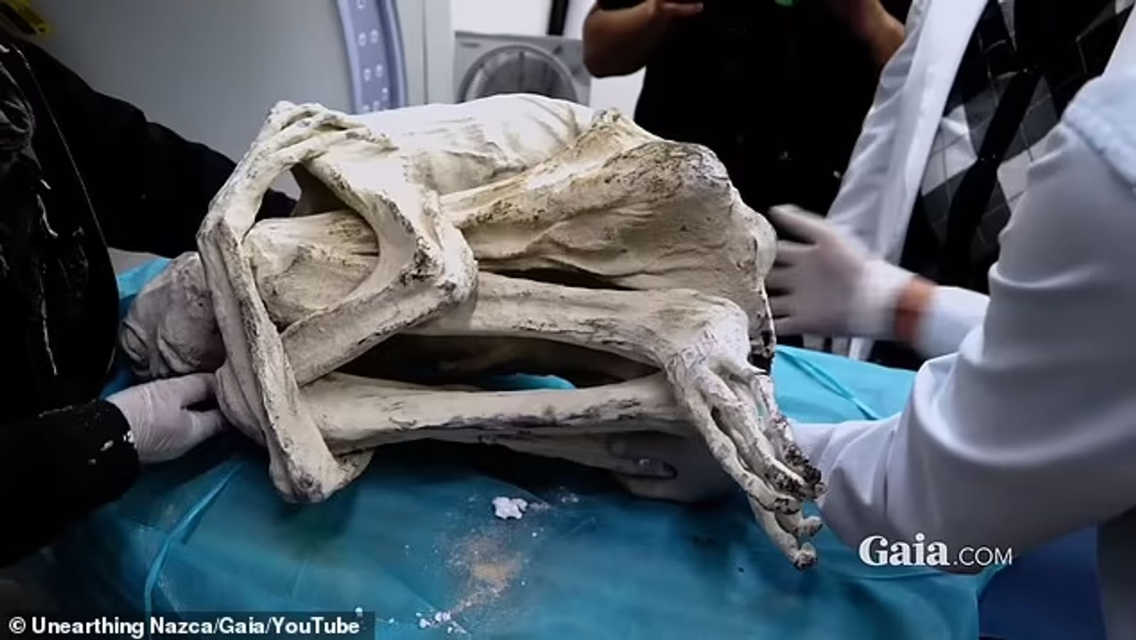 Mystery deepens': Peru's alien mummies have non-human fingerprints