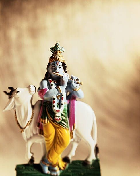 lord krishna 5