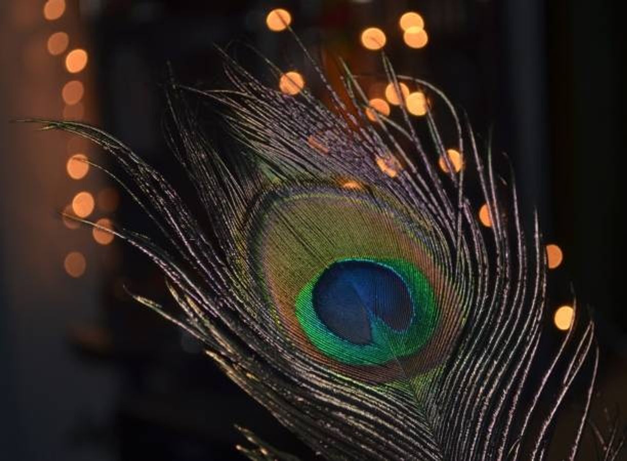 करवा चौथ पर इन चीजों को जरूर लाएं घर, मिलता है अखंड सौभाग्य का वरदान - Bring these things home on Karva Chauth, you will get the blessing of unbroken good fortune.