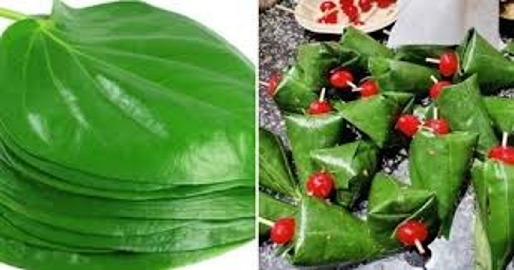 Maxachkala qiz porno Tozalash xonim rus porno etuk