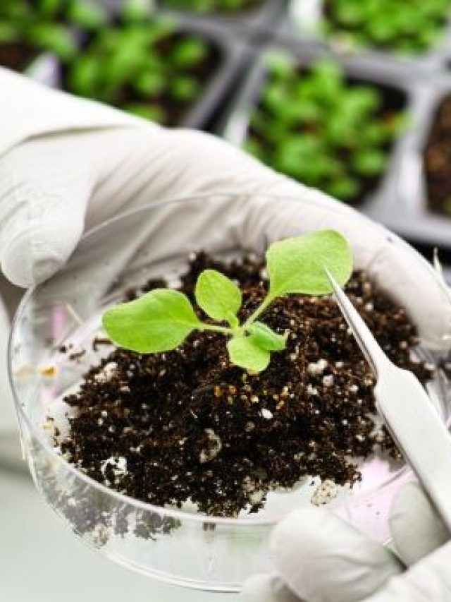 खाली जमीन पर शुरू करें ये बिजनेस, सरकार देगी 50% सब्सिडी