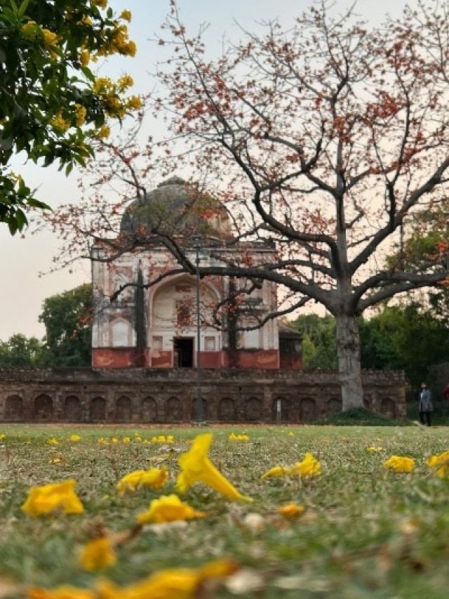 पार्टनर के साथ बिताना चाहते हैं क्वालिटी टाइम, बेस्ट हैं दिल्ली के ये पार्क्स